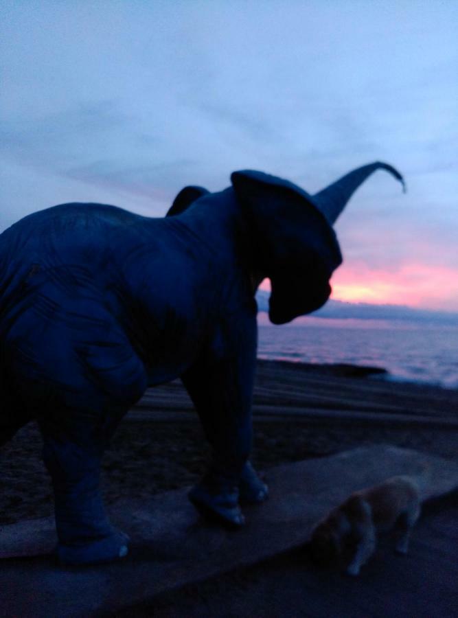 Acapulco III Marina Dor Leilighet Oropesa del Mar Eksteriør bilde
